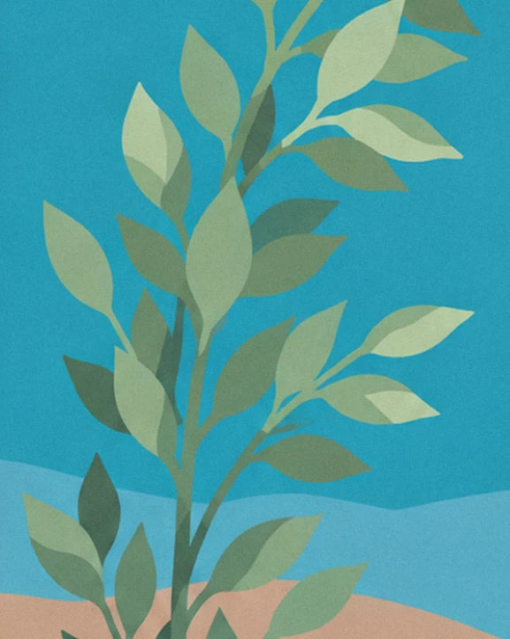 Une branche de feuillage vert sauge qui se détache sur un ciel bleu turquoise