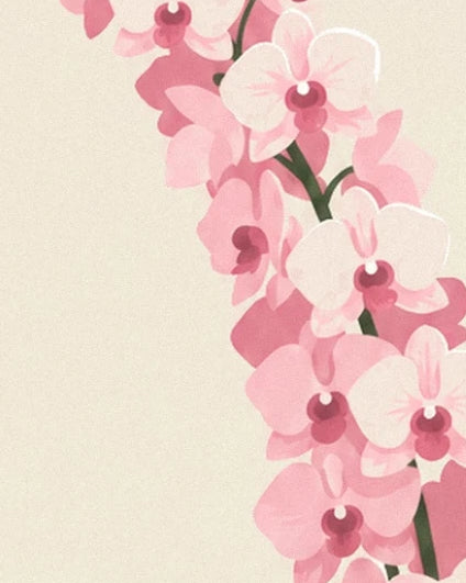 A cascade of pink and white orchids with purple centres against a cream background
