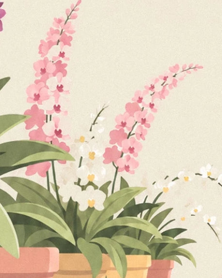 Pink and white orchids among green leaves and ochre and coral pots
