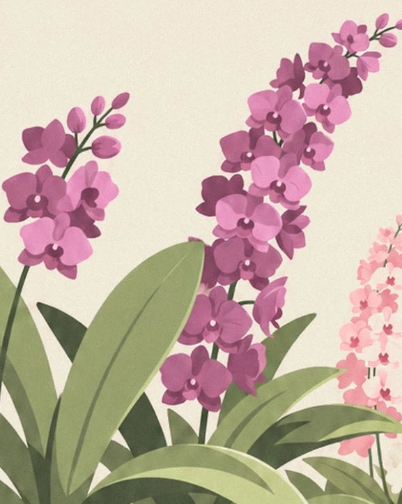 Stems of mauve orchids above broad green leaves