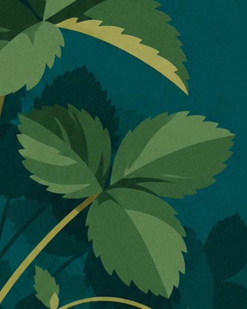 A strawberry leaf with 3 serrated leaflets, in shades of green against a blue-green background