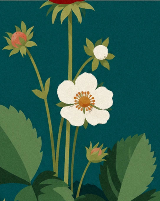 The white strawberry flower with an orange centre, alongside its bud and green strawberry