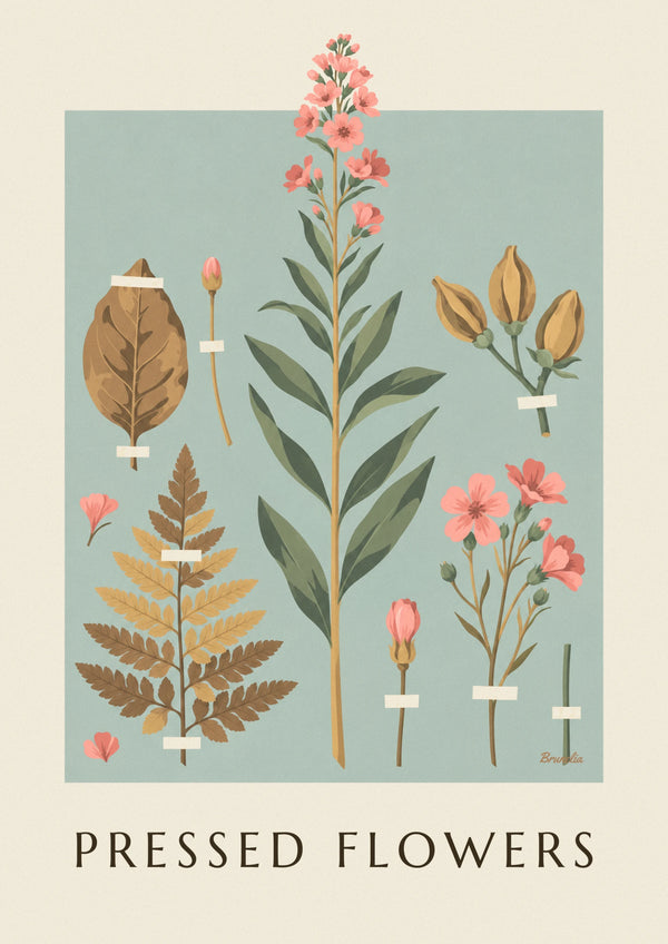 Dried plants and flowers herbarium on cream paper poster