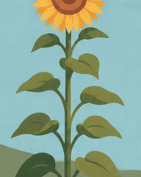A large sunflower on its tall leafy stem, facing the pale blue sky