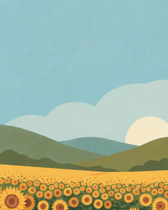 The pale sun behind the green hills, above the field of sunflowers in bloom