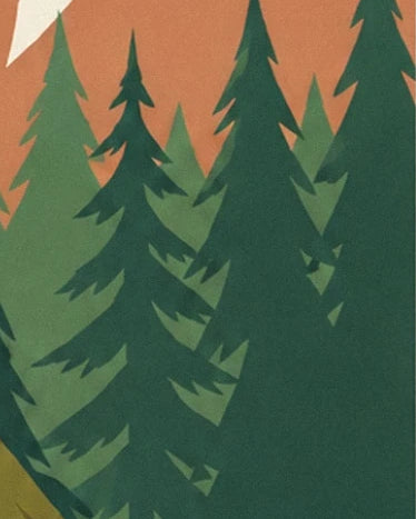 Les silhouettes de pins vert sombre et vert olive sur un fond orangé
