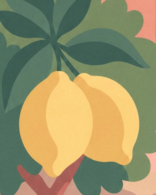 Les 2 citrons jaunes sur leur branche, entourés de larges feuilles vert foncé