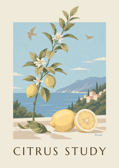 Affiche planche botanique de citrons, fruit, feuilles et fleurs : l'affiche entière