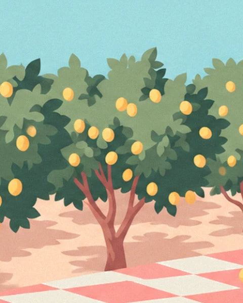 A lemon tree laden with yellow fruit, casting its shadow on the pink earth