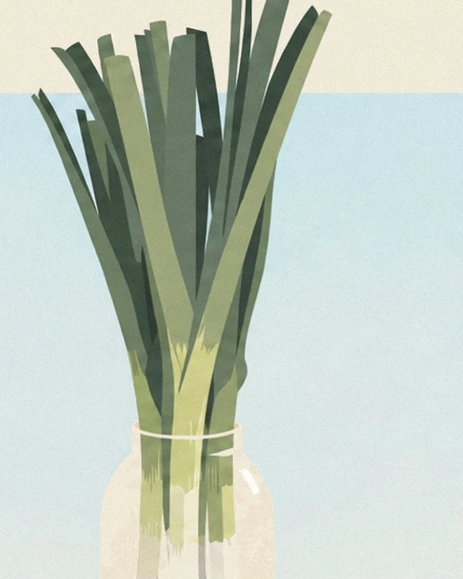 A bunch of leeks with long green leaves in a glass jar