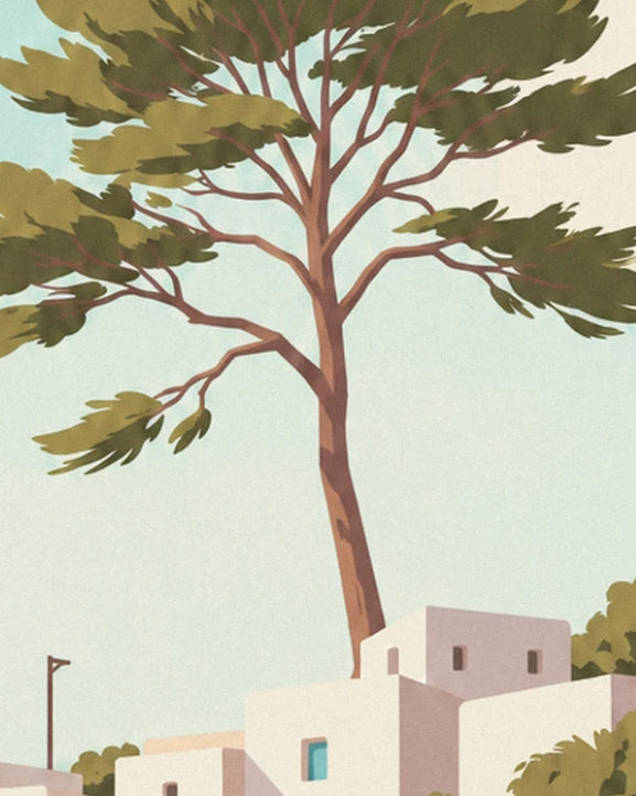 A tall pine with tousled branches above white cube-shaped houses with small windows