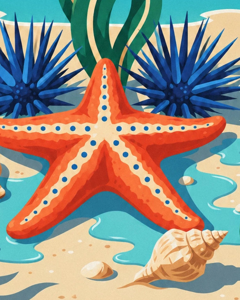 Affiche étoile de mer et faune marine de la côte du Cap : détail en gros plan