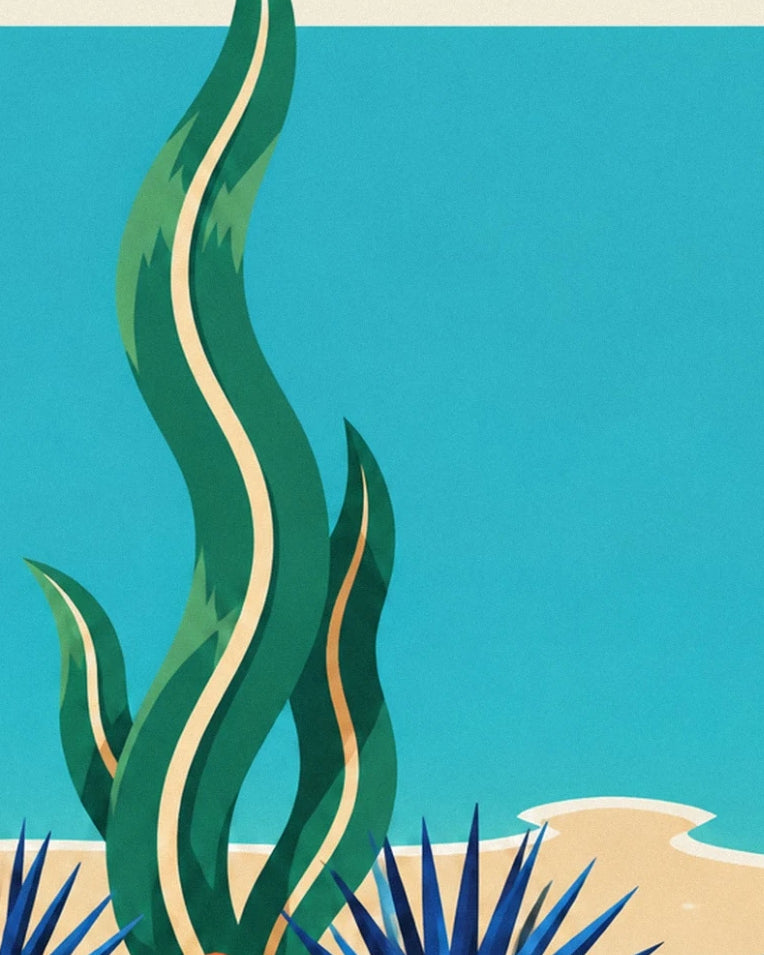 Affiche étoile de mer et faune marine de la côte du Cap : détail en gros plan