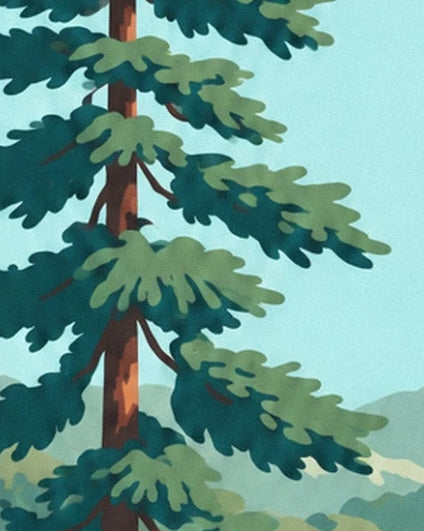 A pine tree with a brown trunk and tiered branches of dark green foliage