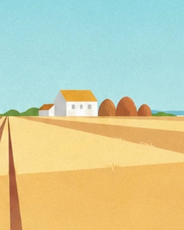 The white farmhouse with its ochre roof and brown haystacks at the edge of the golden field