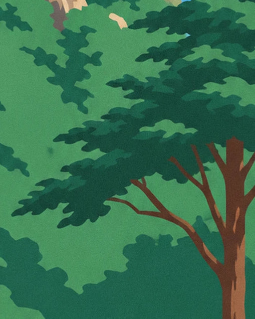 A tall pine with a brown trunk and spreading branches above the forest