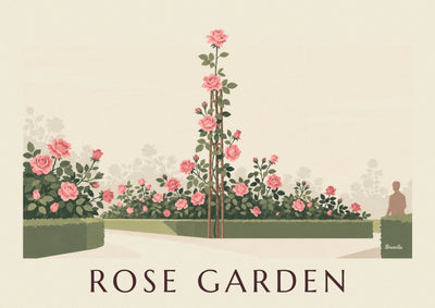 Plakat med slyngrose som botanisk tegning: hele plakaten