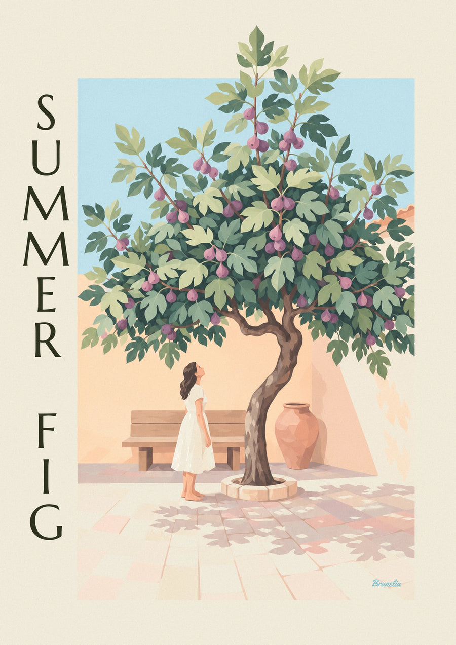 Plakat med figentræ fuldt af lilla figner i en stenbelagt gård