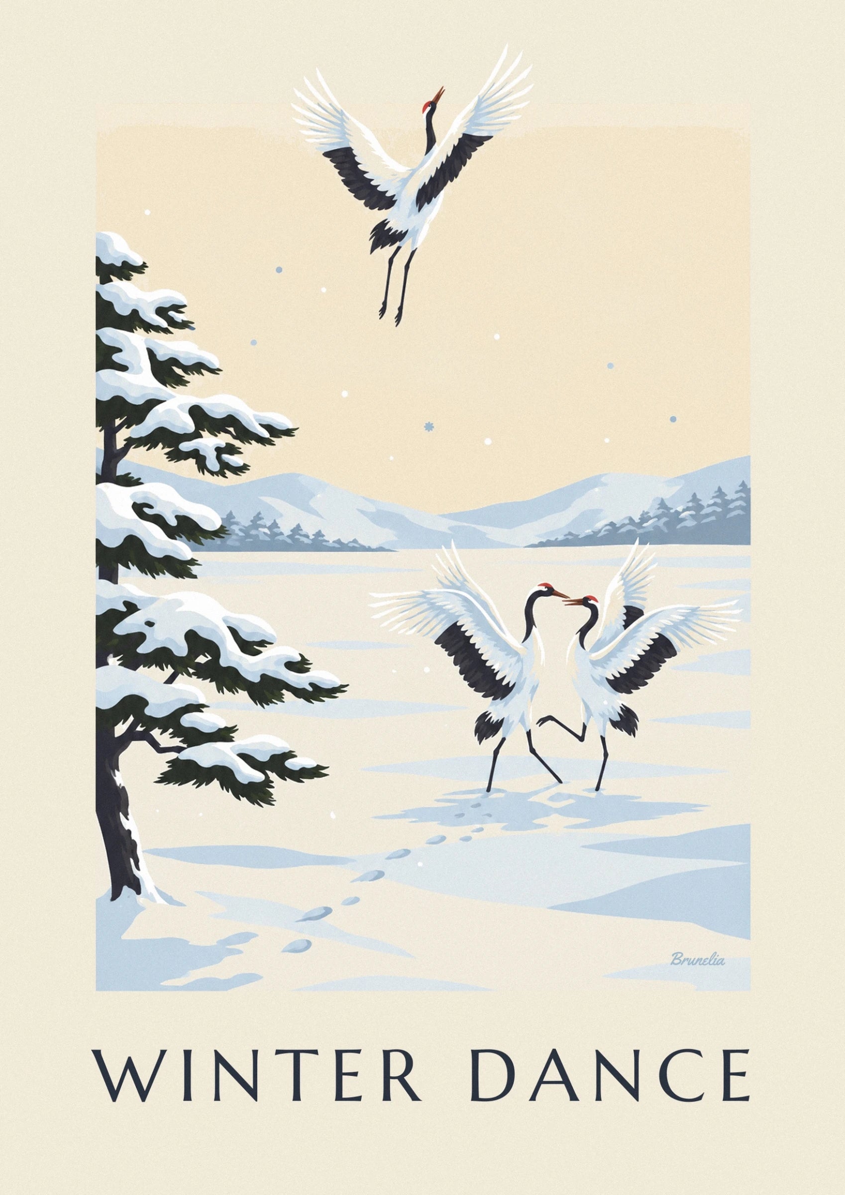 Les 2 grues blanches face à face, ailes déployées dans la neige