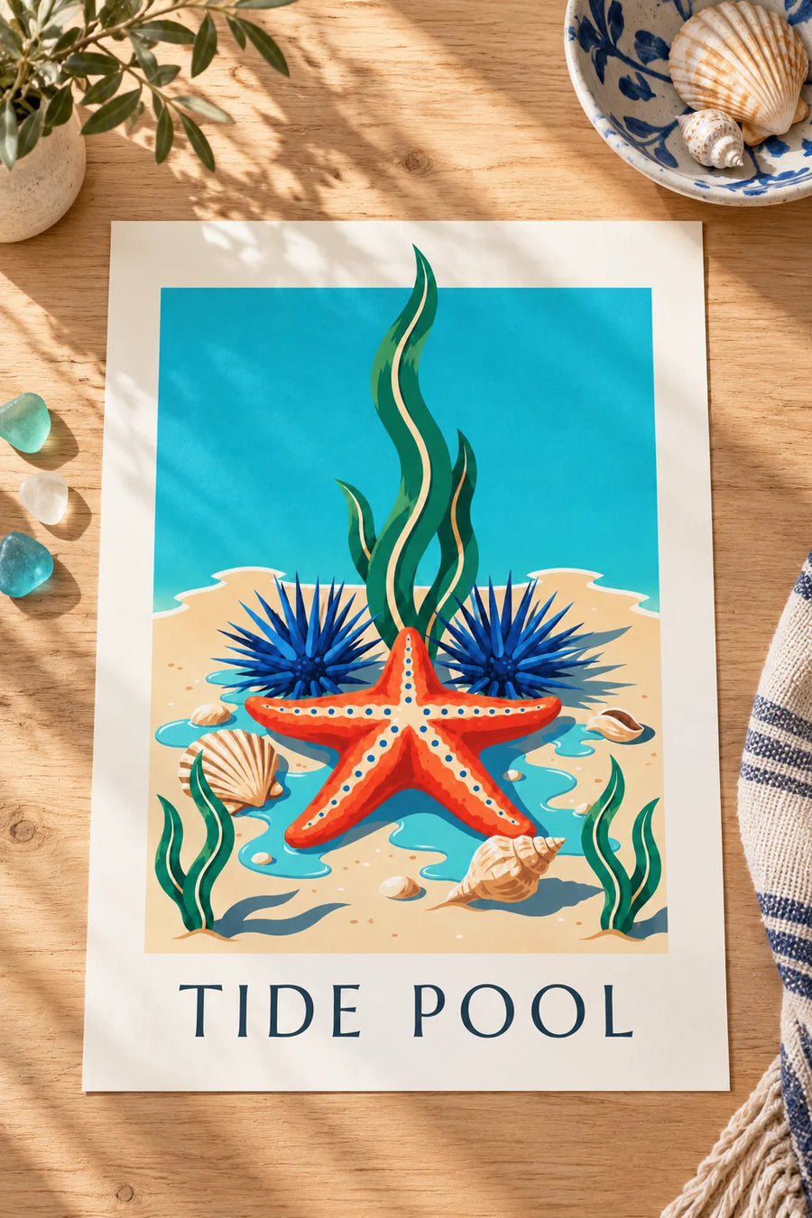 Affiche étoile de mer et faune marine de la côte du Cap : posée sur une table