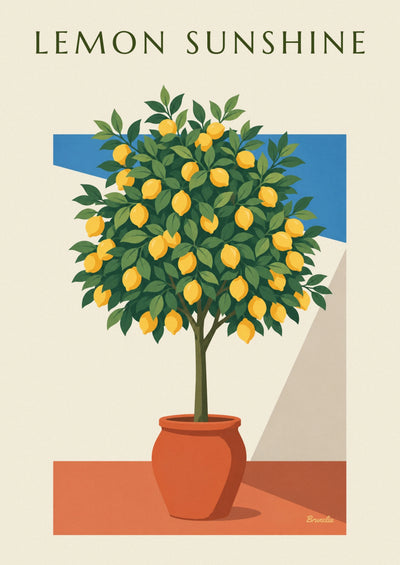 Plakat med citrontræ i potte på en solbeskinnet terrasse i Italien: hele plakaten