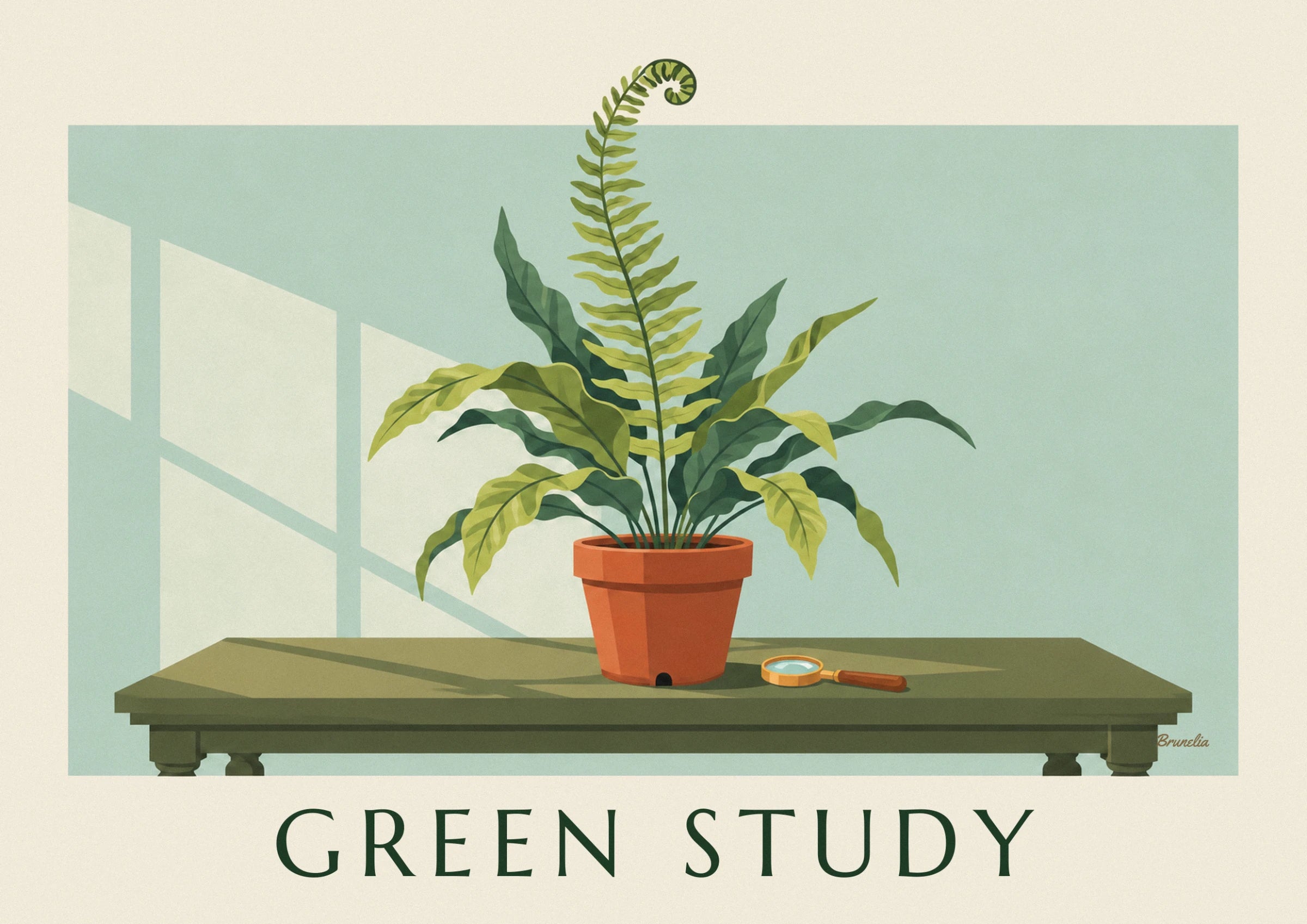 The fern with soft green fronds and its curled shoot, in a terracotta pot