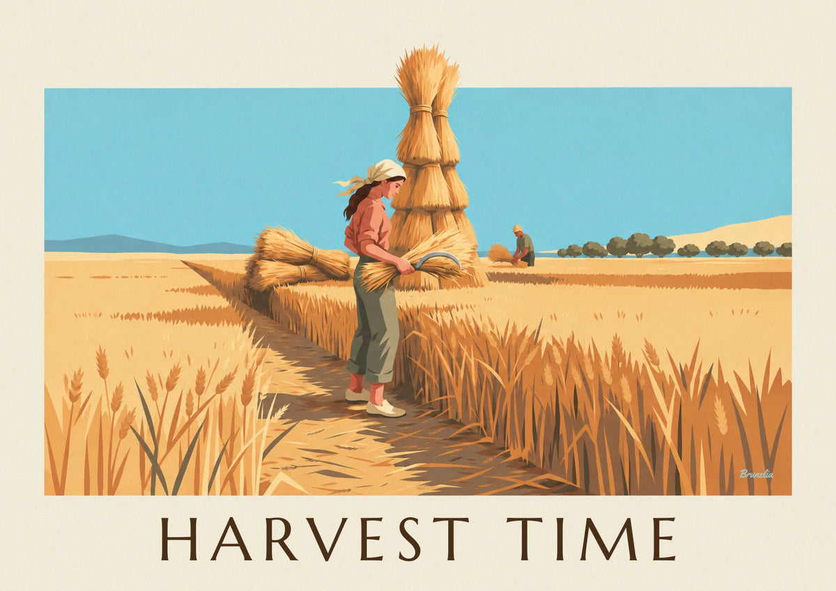 Woman harvesting wheat in golden fields poster