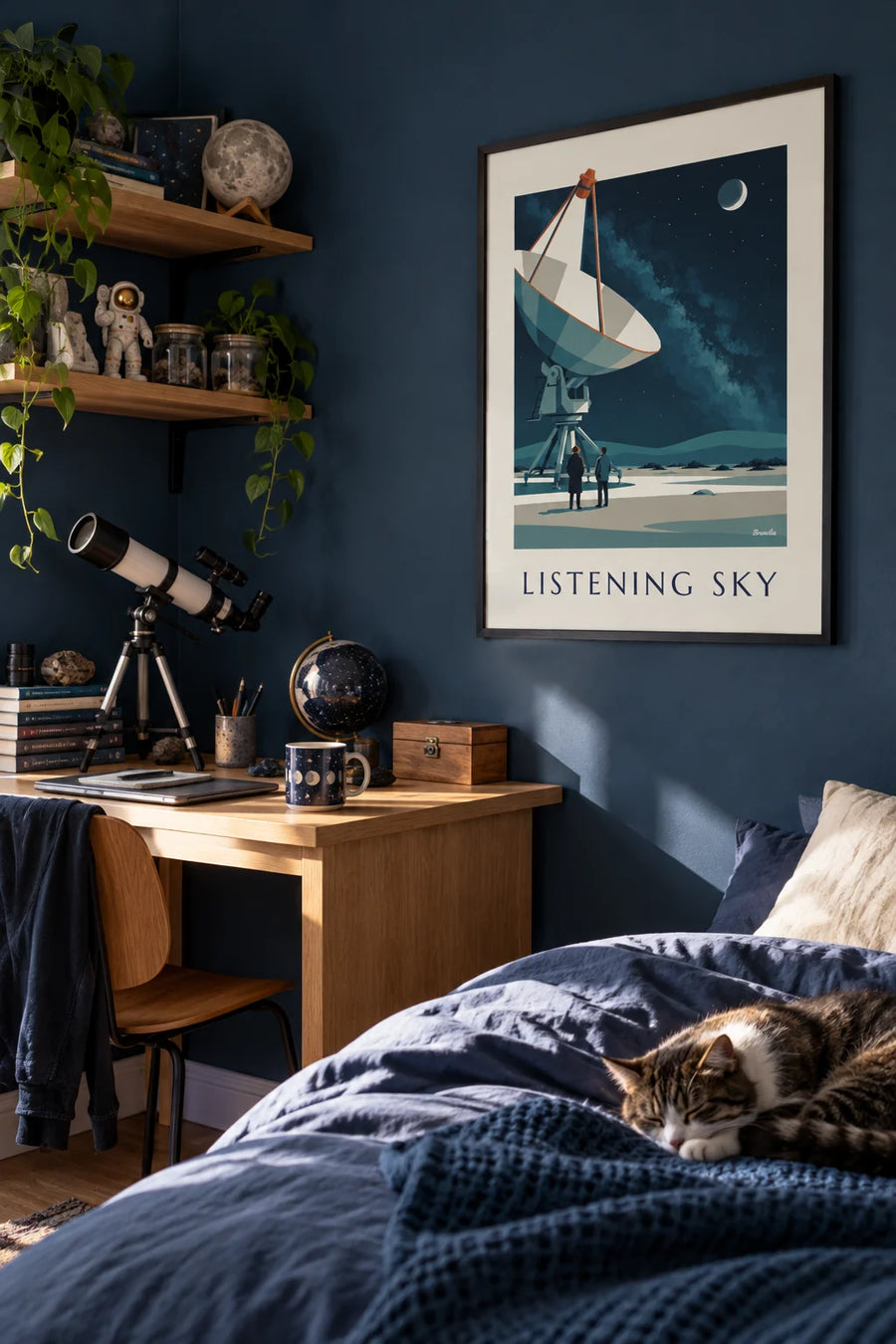 Plakat med radioteleskop rettet mod en stjerneklar himmel i ørkenen: indrammet på væggen